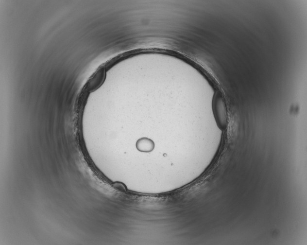 X0000110881116200907161455