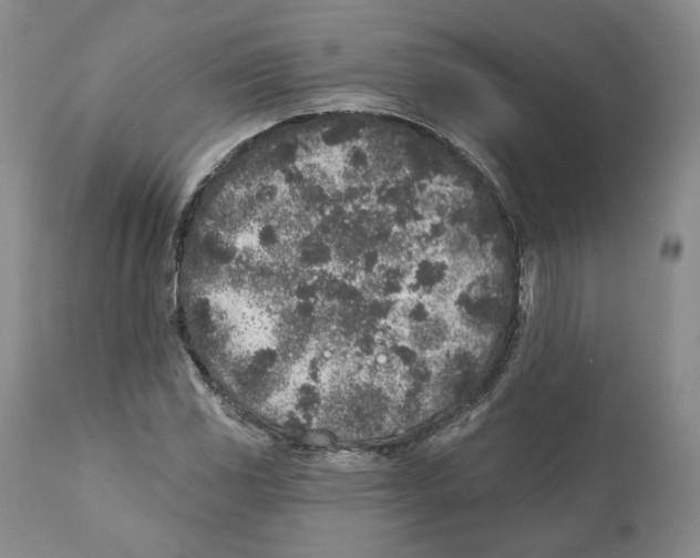 X0000110881117200907161455