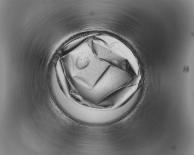 X0000110881118200907161455