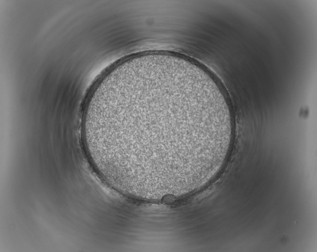 X0000110881119200907161455