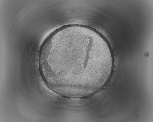 X0000110881120200907161455