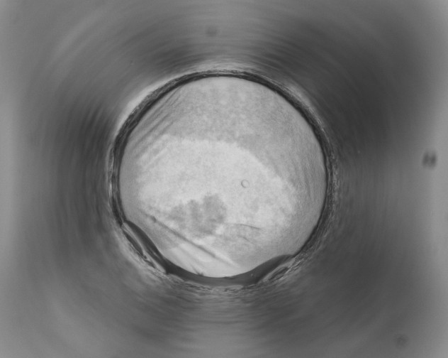 X0000110881124200907161455