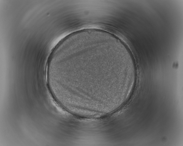 X0000110881127200907161455