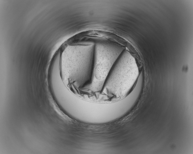 X0000110881128200907161455