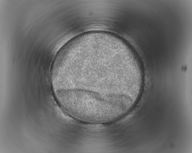 X0000110881129200907161455