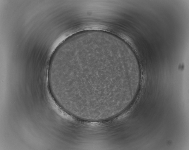 X0000110881130200907161455