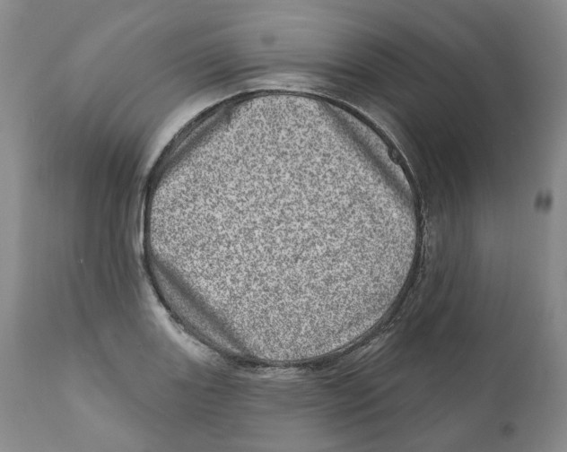 X0000110881131200907161455