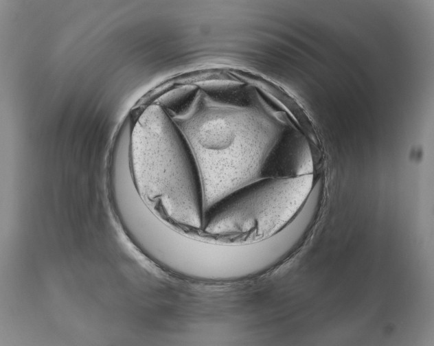 X0000110881134200907161455