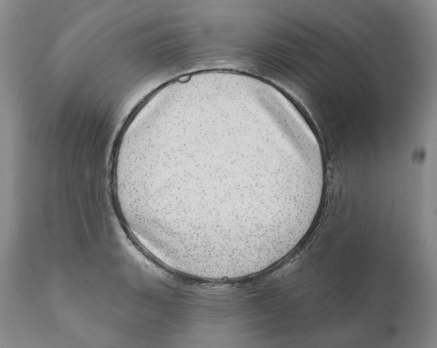 X0000110881135200907161455