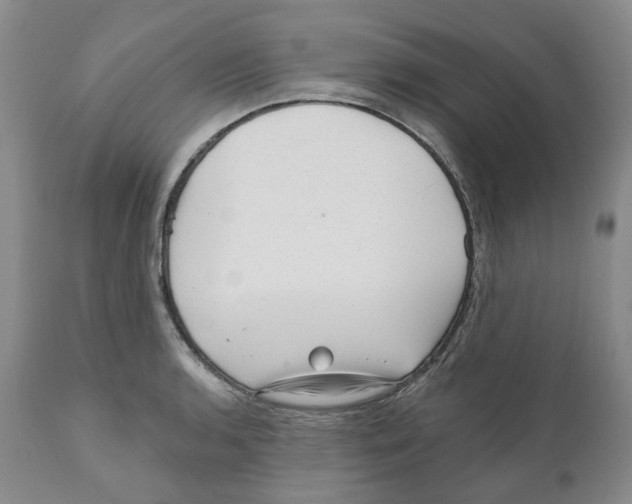 X0000110881136200907161455