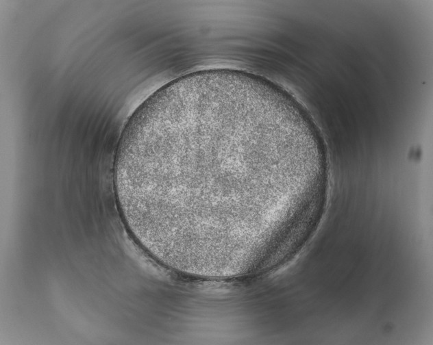 X0000110881137200907161455