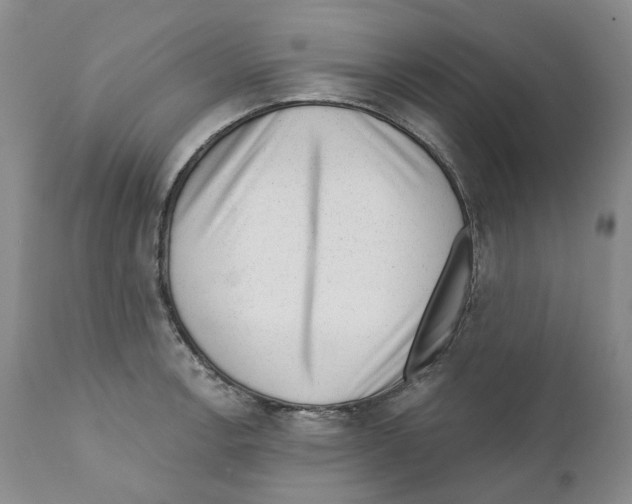 X0000110881138200907161455