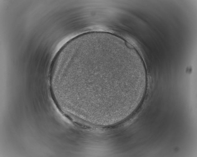 X0000110881141200907161455