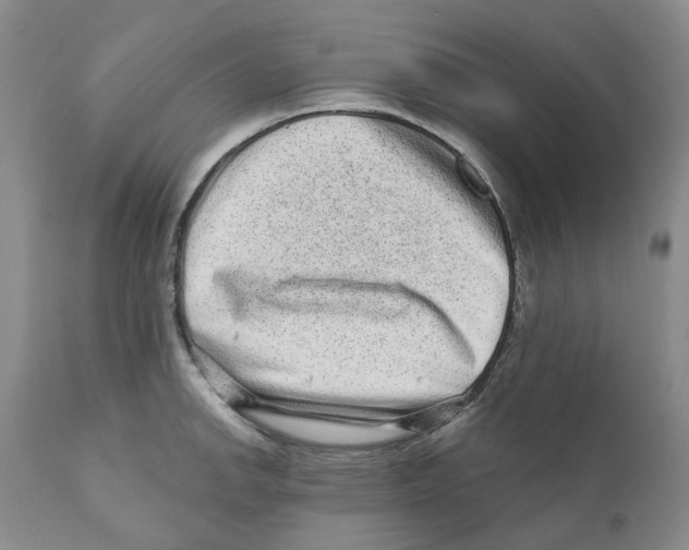 X0000110881142200907161455