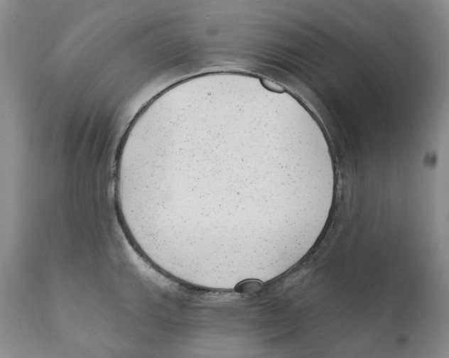 X0000110881143200907161455