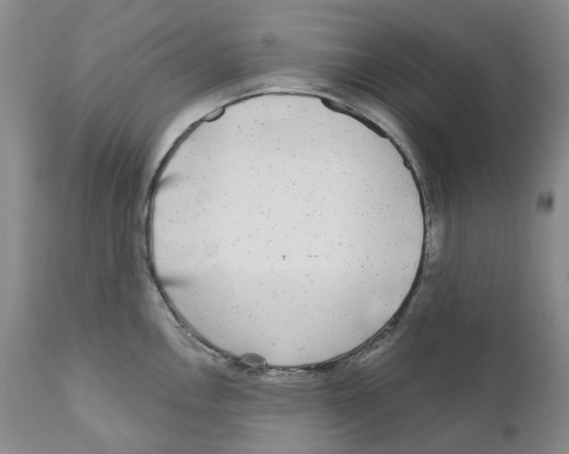 X0000110881146200907161455