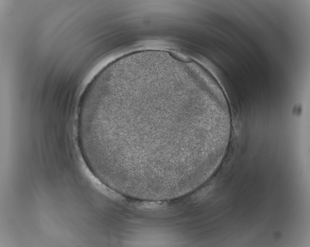 X0000110881147200907161456