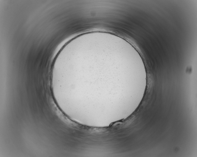 X0000110881148200907161456