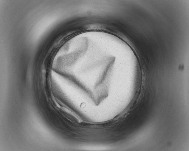 X0000110881151200907161456