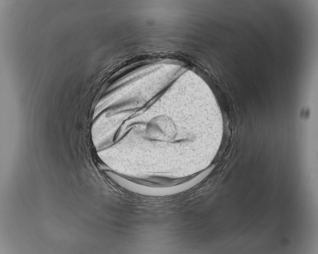 X0000110881153200907161455