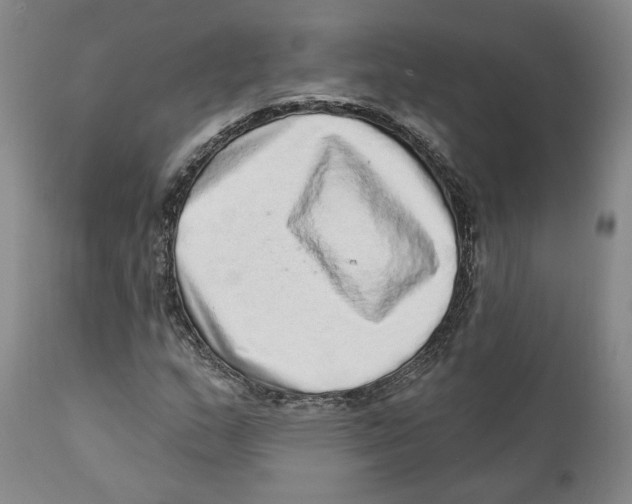 X0000110881159200907161455