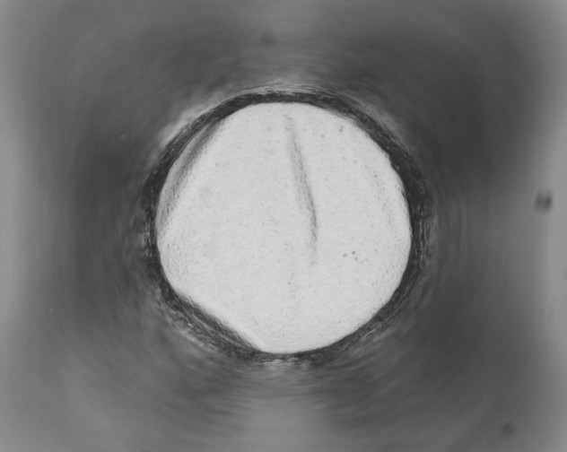 X0000110881160200907161455