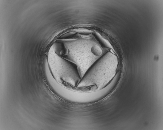 X0000110881161200907161455