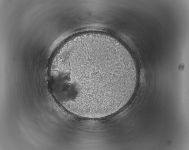 X0000110881164200907161455