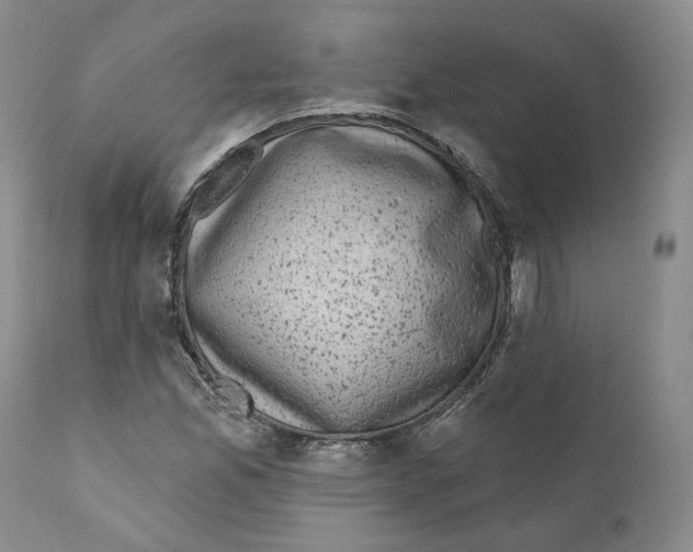 X0000110881165200907161455