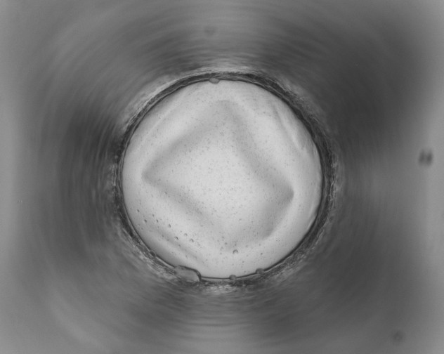 X0000110881169200907161455