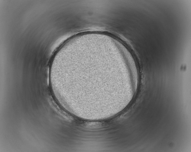 X0000110881171200907161454