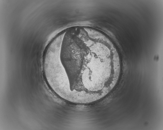 X0000110881176200907161454