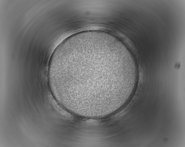 X0000110881178200907161454