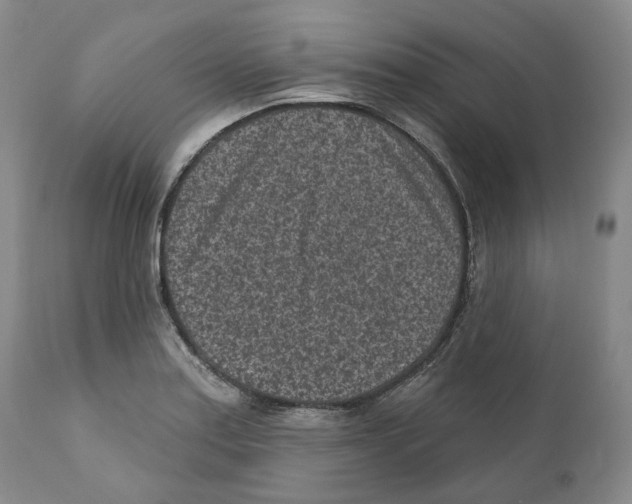 X0000110881179200907161454