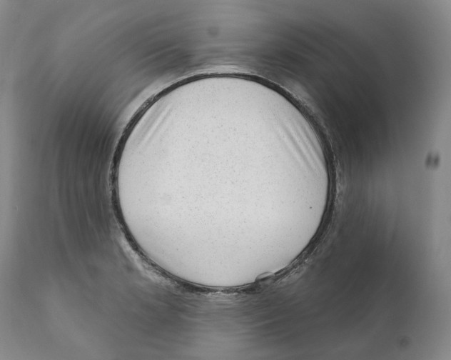 X0000110881181200907161454