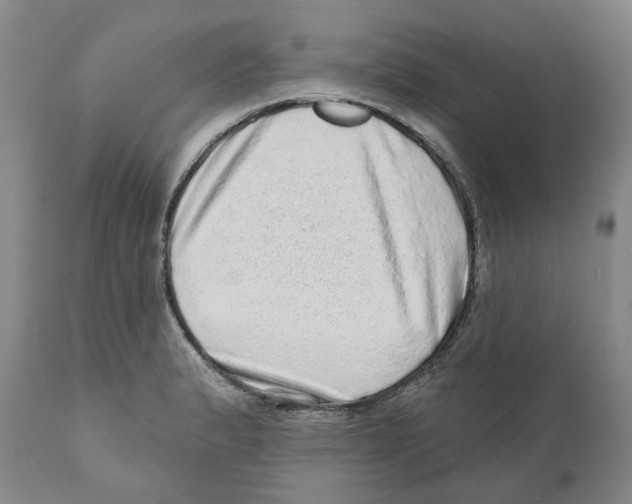 X0000110881183200907161454