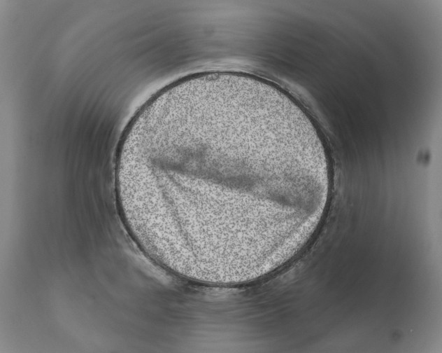 X0000110881184200907161454