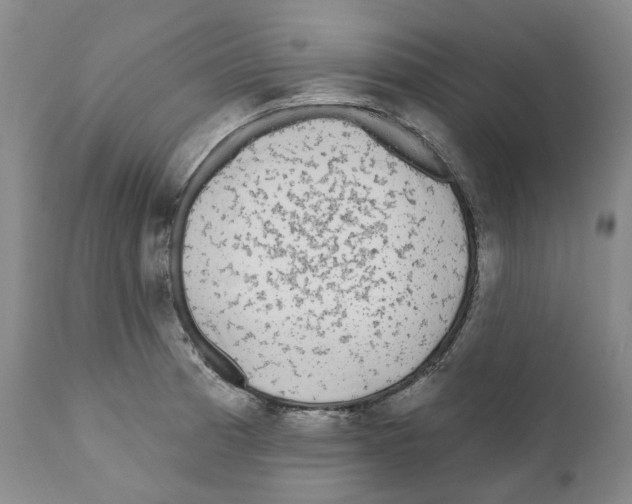 X0000110881185200907161454