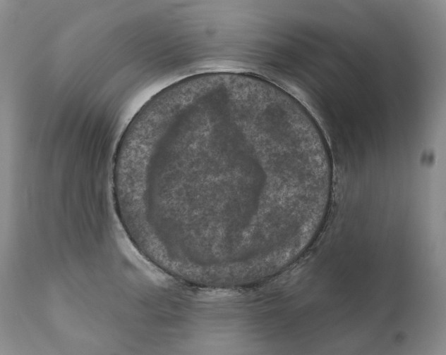 X0000110881187200907161454