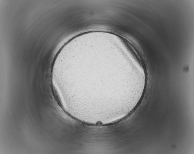 X0000110881192200907161454