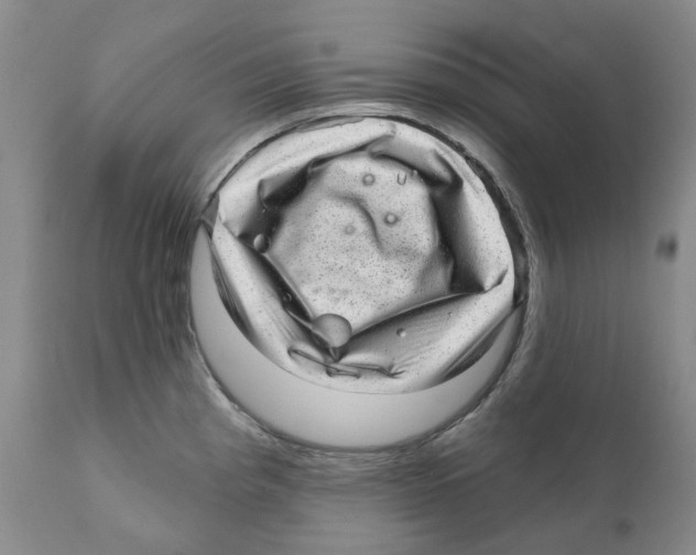 X0000110881193200907161454