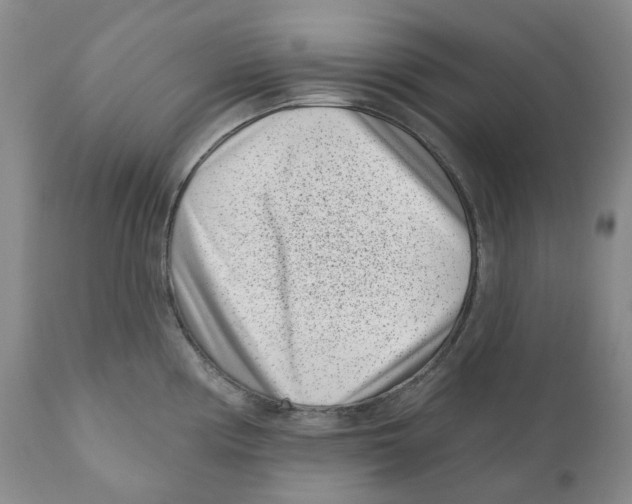 X0000110881194200907161454