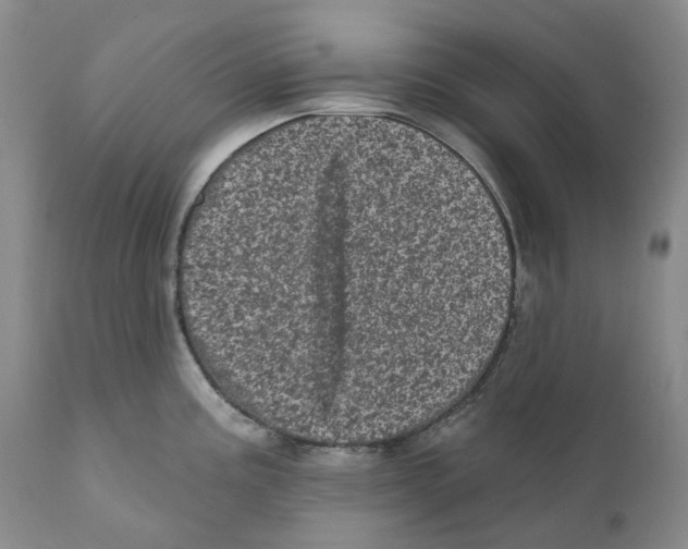 X0000110881195200907161454