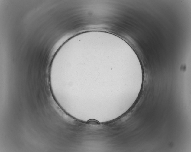 X0000110881196200907161454