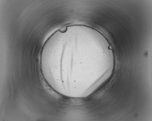 X0000110881198200907161454