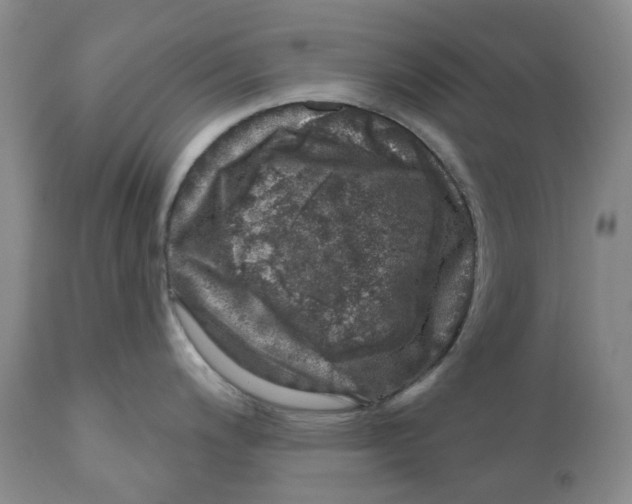 X0000110881200200907161454