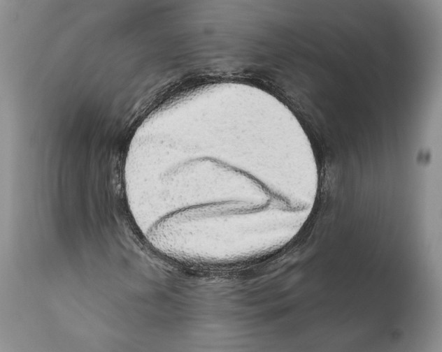 X0000110881202200907161453