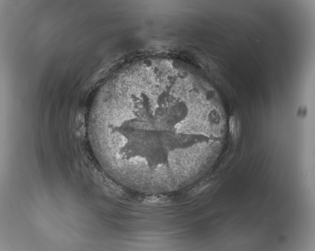 X0000110881203200907161453