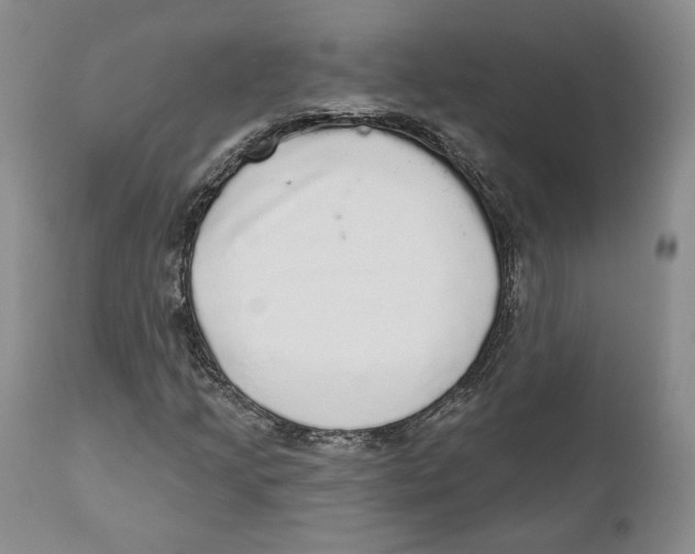 X0000110881205200907161453