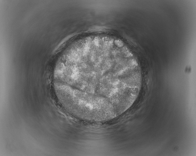 X0000110881206200907161453